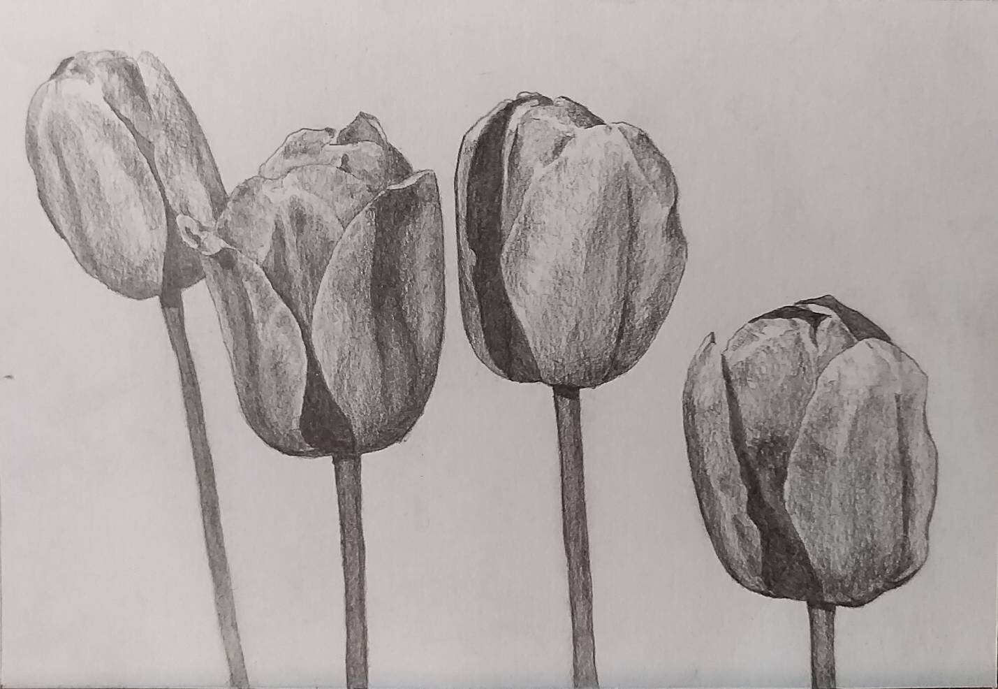 油絵画家 岡 宏治の風景画作品 夏の光